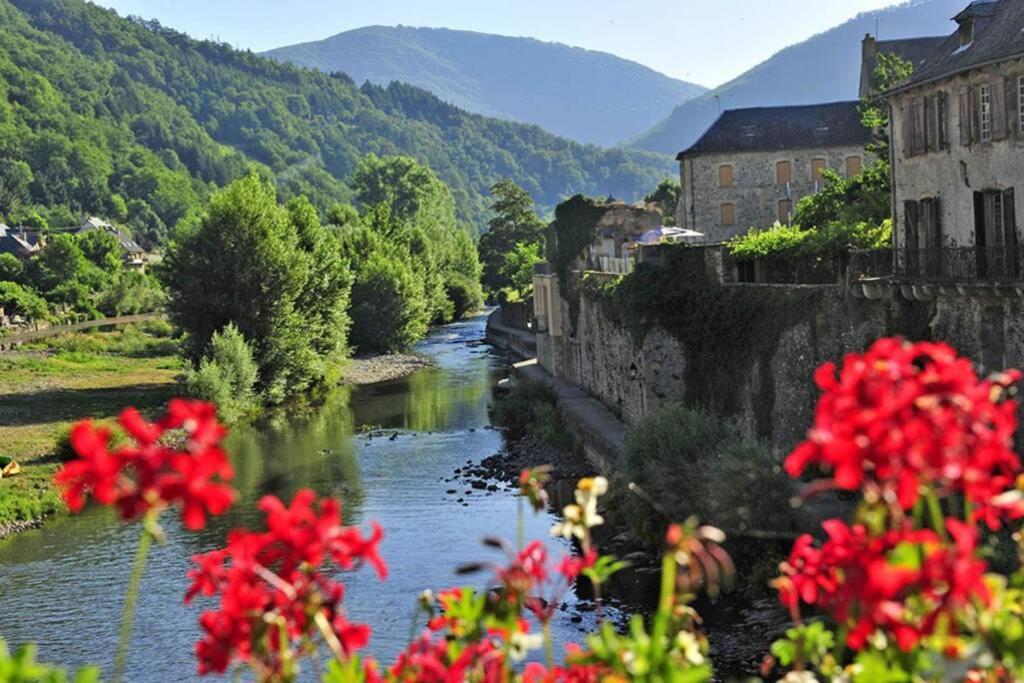 Au 11 T3 Duplex, Village Vacances, Piscines, Parking Saint-Geniez-d'Olt Exterior foto